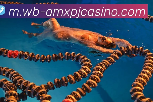 澳门新葡京娱乐APP 高清赛事图